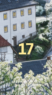 Türle 17