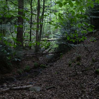 Fotosafari 2026 30